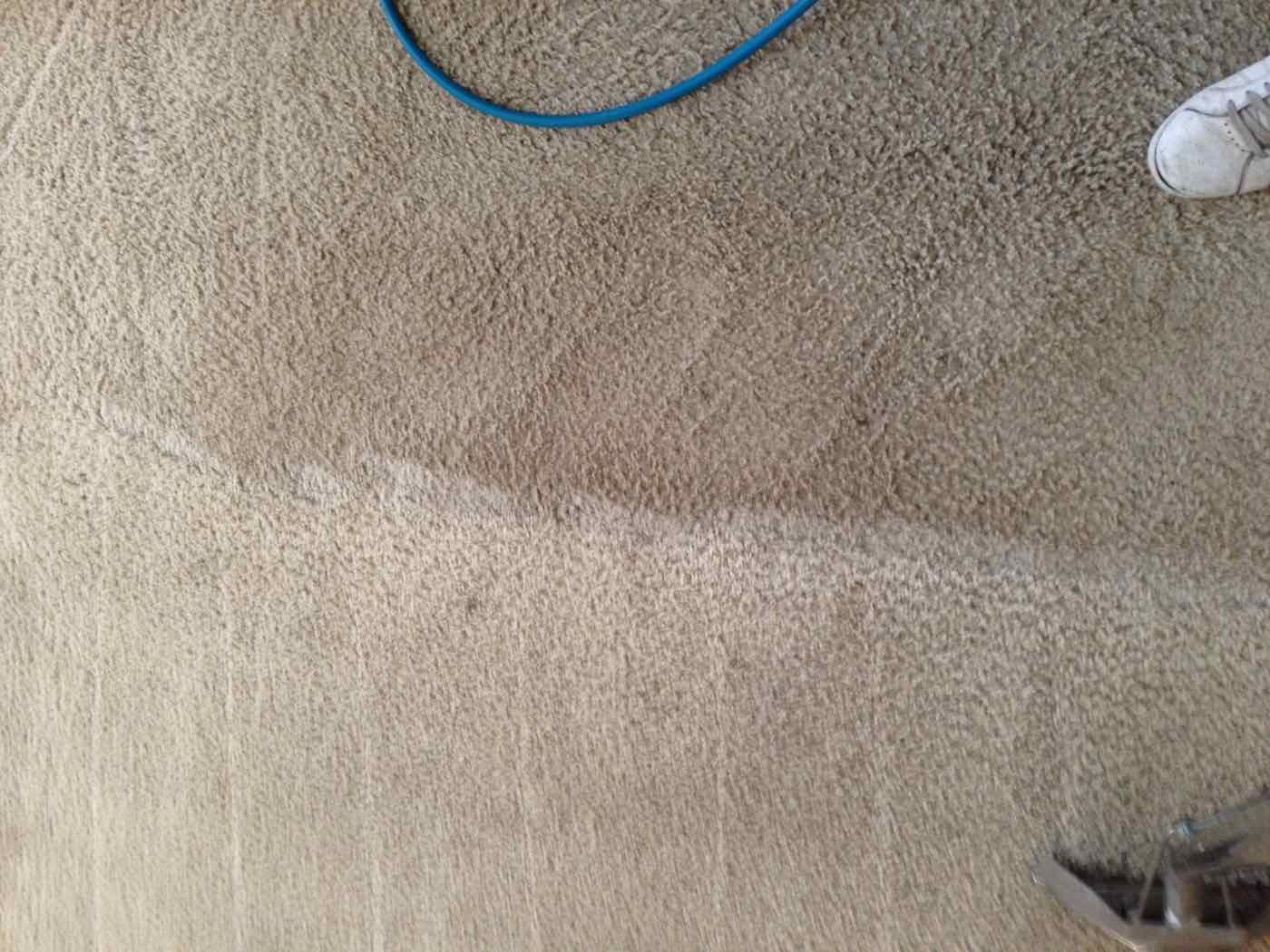 Job photo from Axiom Floor Care